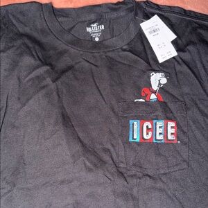 Hollister Black T-Shirt with ICEE Bear Graphic